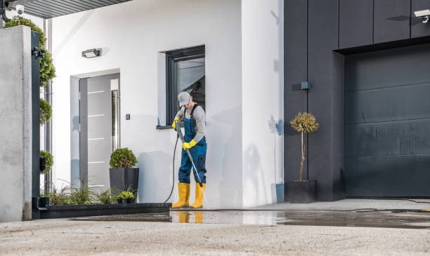 Boat and Dock Cleaning in Gillette, NJ